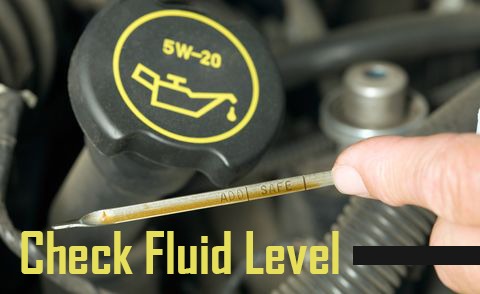 check the fluid level