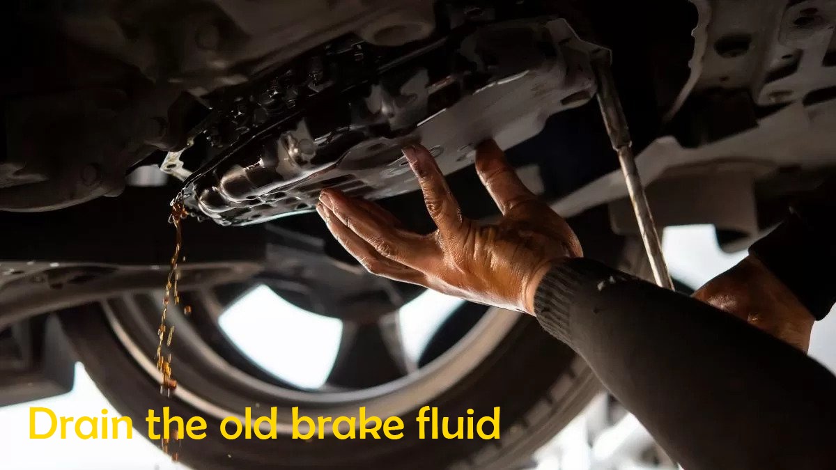 Drain the old brake fluid
