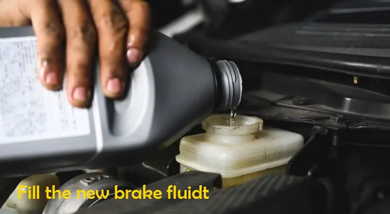 Fill the new brake fluid