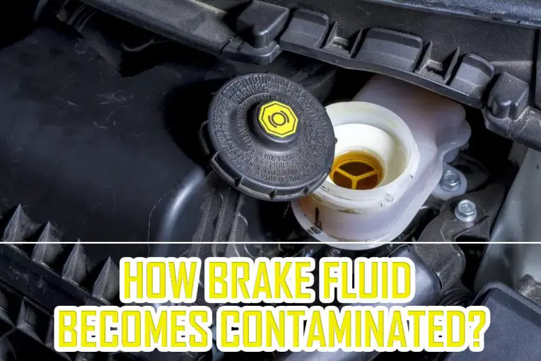 How Does Brake Fluid Contaminated What Should You Do?